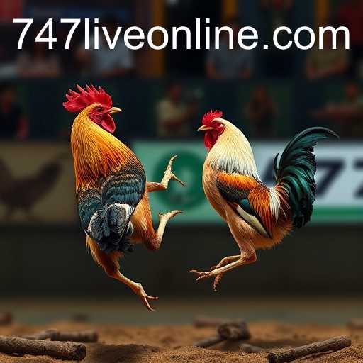 747 Live